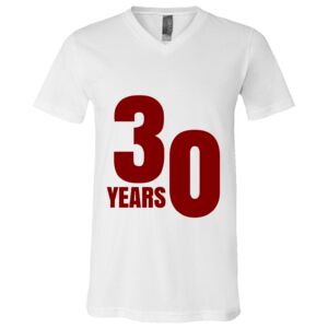 BELLA + CANVAS Unisex Jersey V-Neck Tee Thumbnail