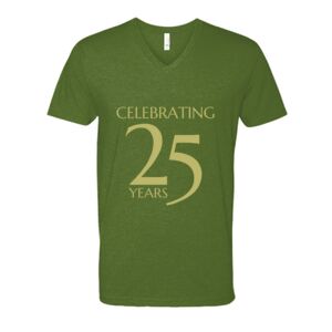 Next Level Fitted CVC V-Neck Tee Thumbnail