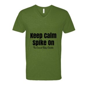 Next Level Fitted CVC V-Neck Tee Thumbnail