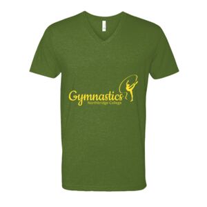 Next Level Fitted CVC V-Neck Tee Thumbnail